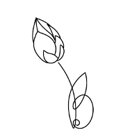 Lotus bud tattoo: In memory